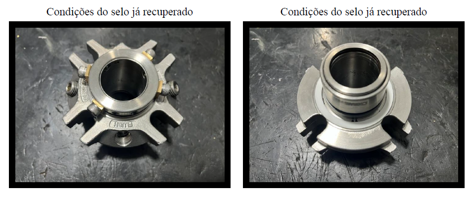 Revitalização de selos mecânicos: economia e performance
