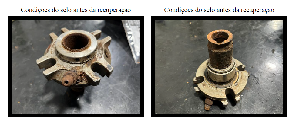 Revitalização de selos mecânicos: economia e performance